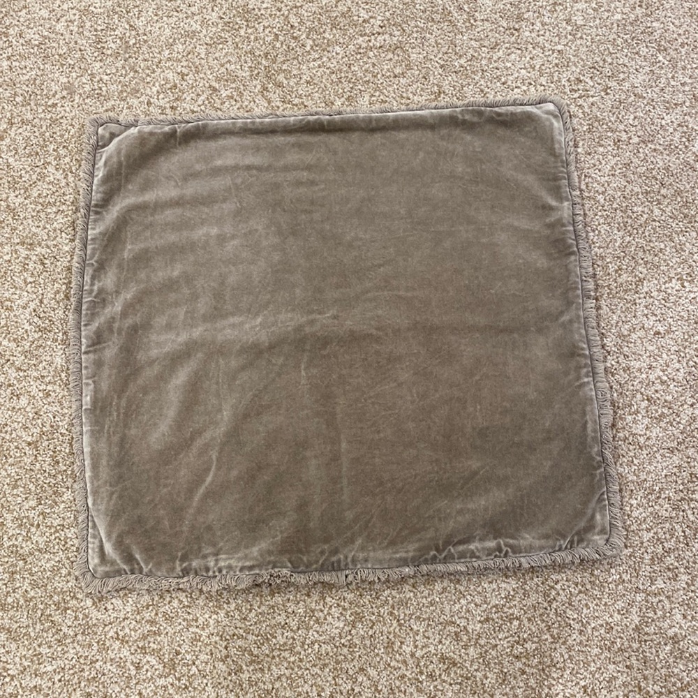 Pottery Barn Velvet Pillow